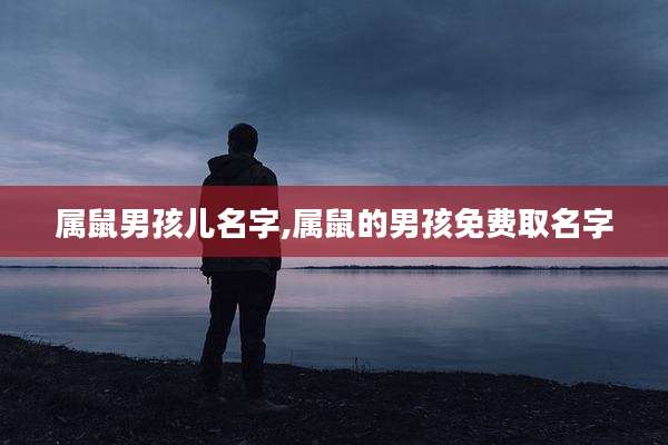 属鼠男孩儿名字,属鼠的男孩免费取名字