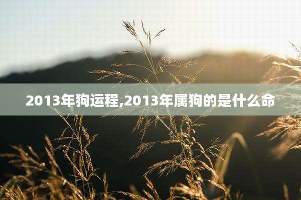 2013年狗运程,2013年属狗的是什么命