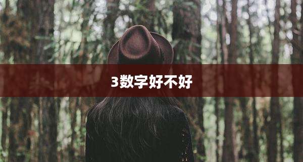 3数字好不好