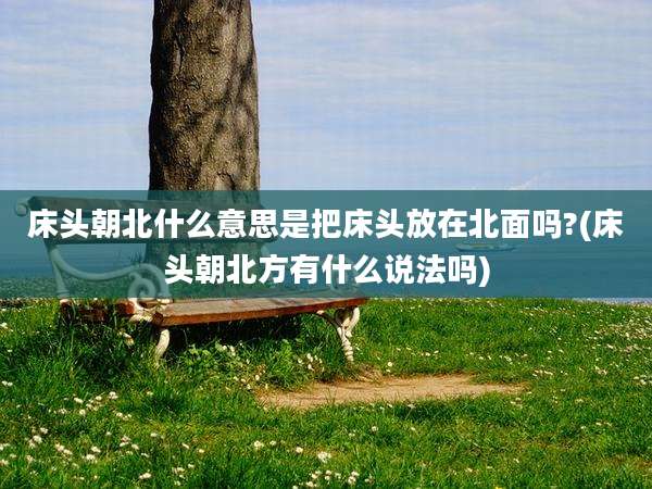 床头朝北什么意思是把床头放在北面吗?(床头朝北方有什么说法吗)