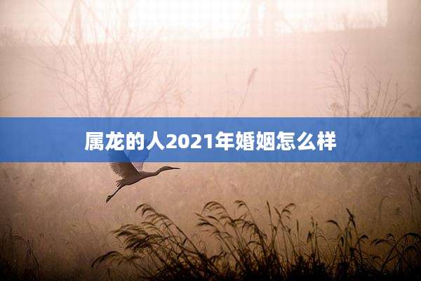 属龙的人2021年婚姻怎么样