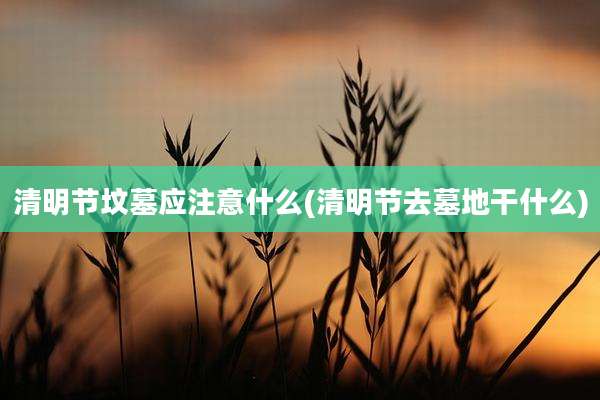 清明节坟墓应注意什么(清明节去墓地干什么)