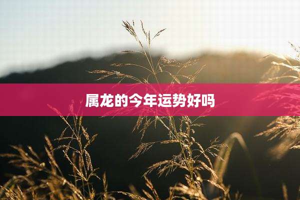 属龙的今年运势好吗