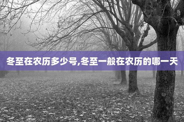 冬至在农历多少号,冬至一般在农历的哪一天