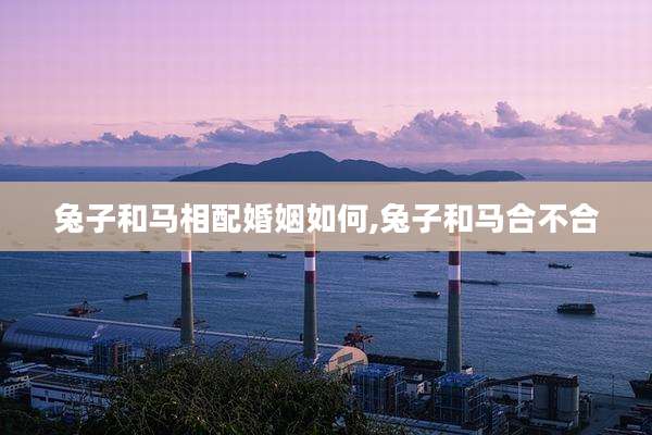 兔子和马相配婚姻如何,兔子和马合不合