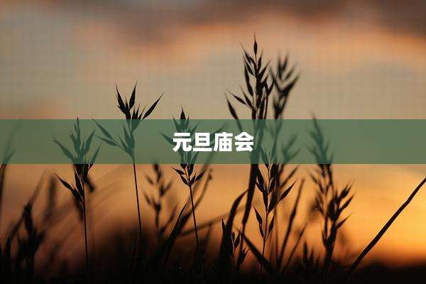 元旦庙会