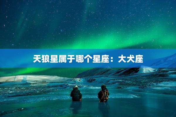 天狼星属于哪个星座：大犬座