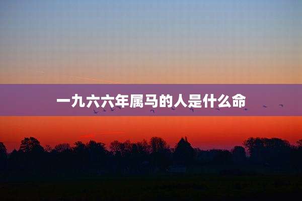 一九六六年属马的人是什么命