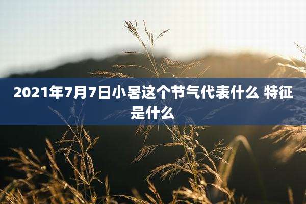 2021年7月7日小暑这个节气代表什么 特征是什么