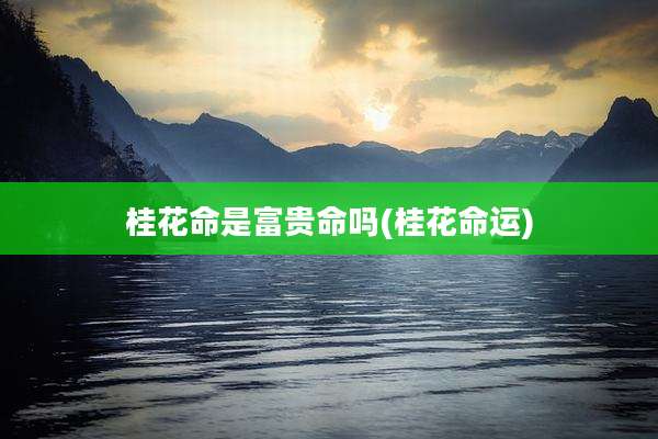 桂花命是富贵命吗(桂花命运)