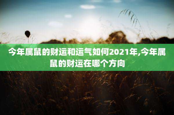 今年属鼠的财运和运气如何2021年,今年属鼠的财运在哪个方向