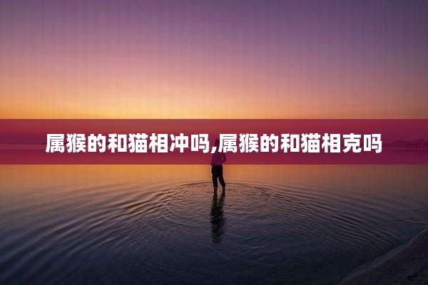 属猴的和猫相冲吗,属猴的和猫相克吗
