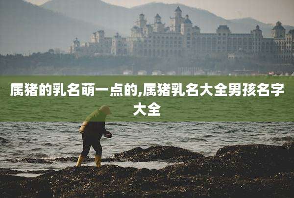 属猪的乳名萌一点的,属猪乳名大全男孩名字大全