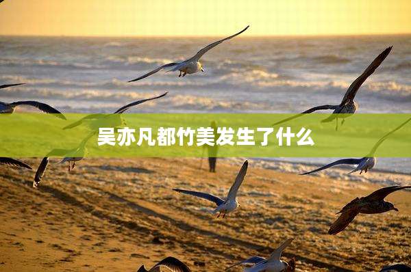 吴亦凡都竹美发生了什么