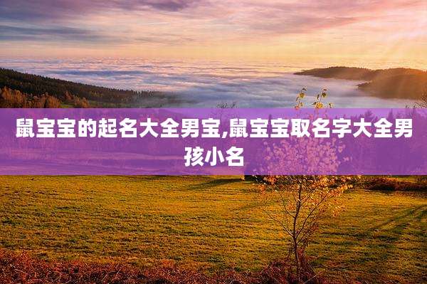 鼠宝宝的起名大全男宝,鼠宝宝取名字大全男孩小名