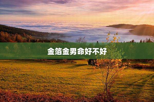 金箔金男命好不好