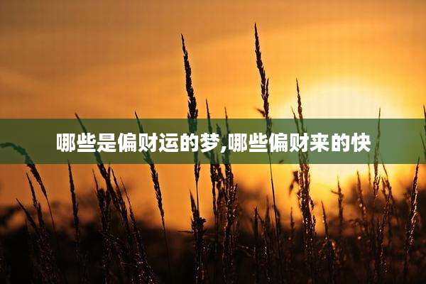 哪些是偏财运的梦,哪些偏财来的快