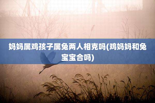 妈妈属鸡孩子属兔两人相克吗(鸡妈妈和兔宝宝合吗)