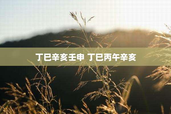 丁巳辛亥壬申 丁巳丙午辛亥