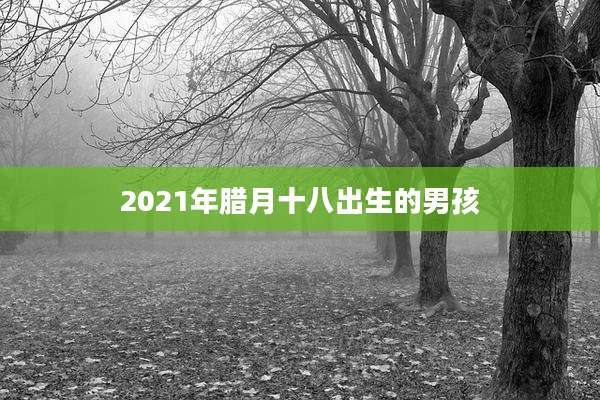 2021年腊月十八出生的男孩
