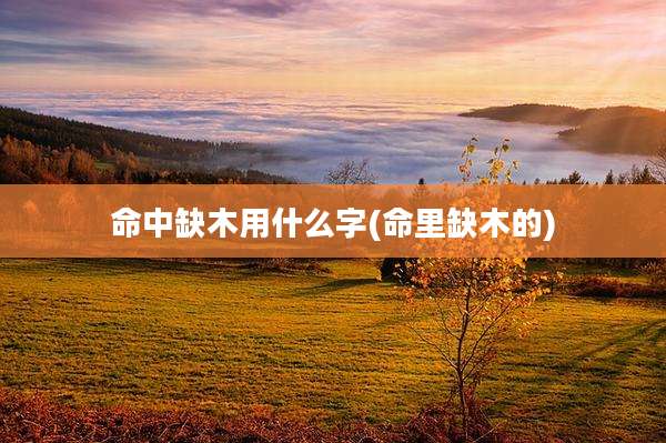 命中缺木用什么字(命里缺木的)