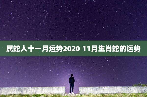 属蛇人十一月运势2020 11月生肖蛇的运势