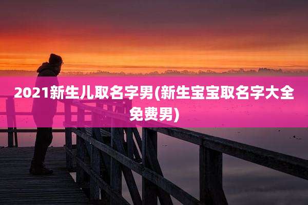 2021新生儿取名字男(新生宝宝取名字大全免费男)