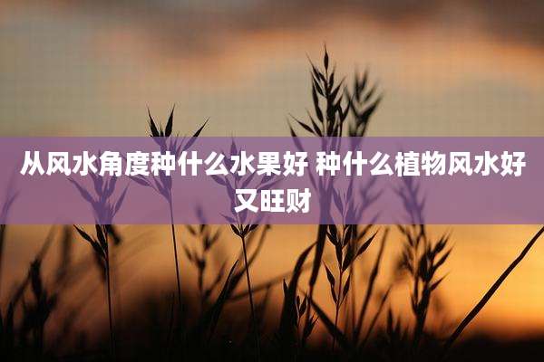 从风水角度种什么水果好 种什么植物风水好又旺财
