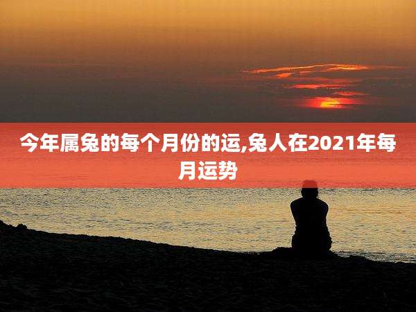 今年属兔的每个月份的运,兔人在2021年每月运势