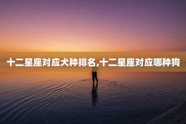 十二星座对应犬种排名,十二星座对应哪种狗