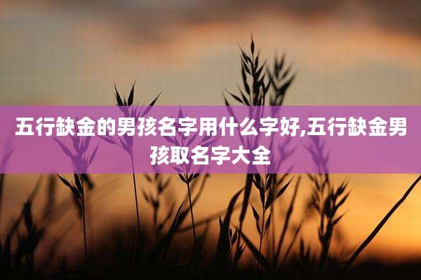 五行缺金的男孩名字用什么字好,五行缺金男孩取名字大全