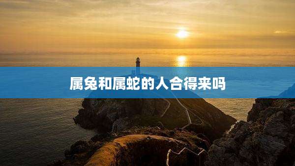 属兔和属蛇的人合得来吗