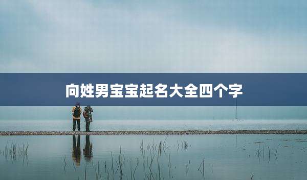向姓男宝宝起名大全四个字