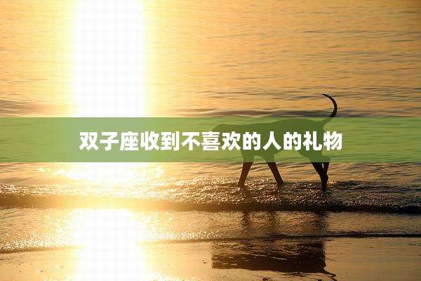 双子座收到不喜欢的人的礼物