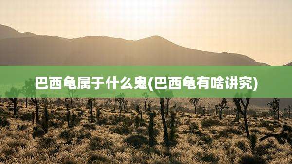 巴西龟属于什么鬼(巴西龟有啥讲究)