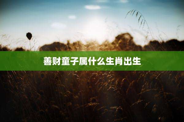 善财童子属什么生肖出生