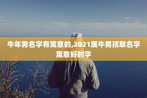 牛年男名字有寓意的,2021属牛男孩取名字寓意好的字