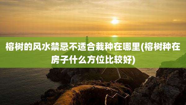 榕树的风水禁忌不适合栽种在哪里(榕树种在房子什么方位比较好)