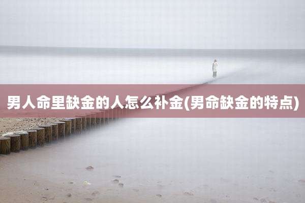 男人命里缺金的人怎么补金(男命缺金的特点)