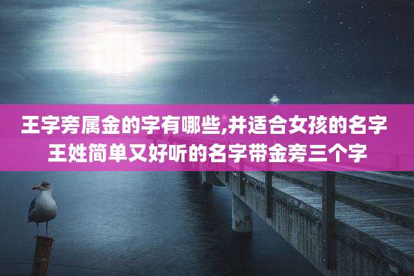 王字旁属金的字有哪些,并适合女孩的名字 王姓简单又好听的名字带金旁三个字