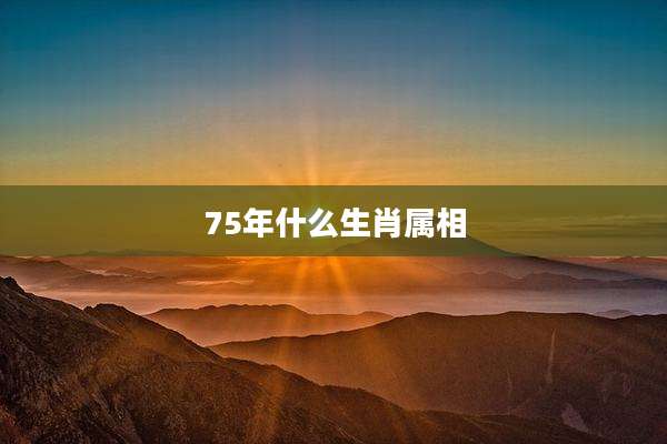 75年什么生肖属相