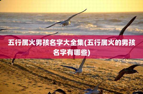 五行属火男孩名字大全集(五行属火的男孩名字有哪些)
