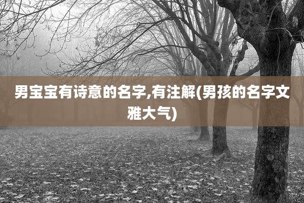 男宝宝有诗意的名字,有注解(男孩的名字文雅大气)