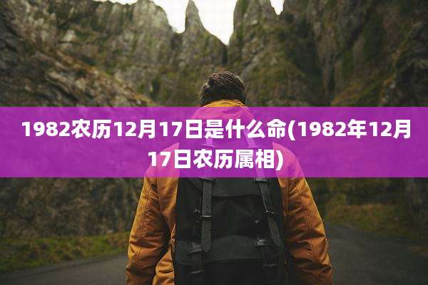 1982农历12月17日是什么命(1982年12月17日农历属相)
