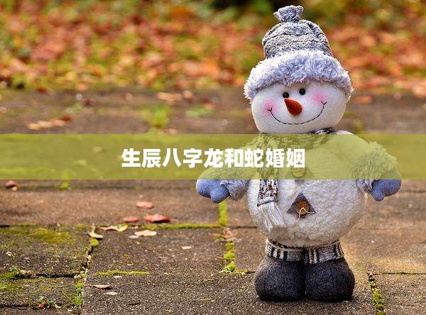 生辰八字龙和蛇婚姻