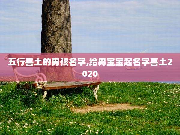 五行喜土的男孩名字,给男宝宝起名字喜土2020