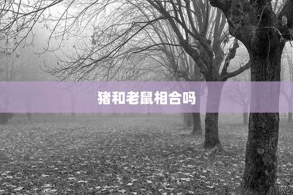 猪和老鼠相合吗
