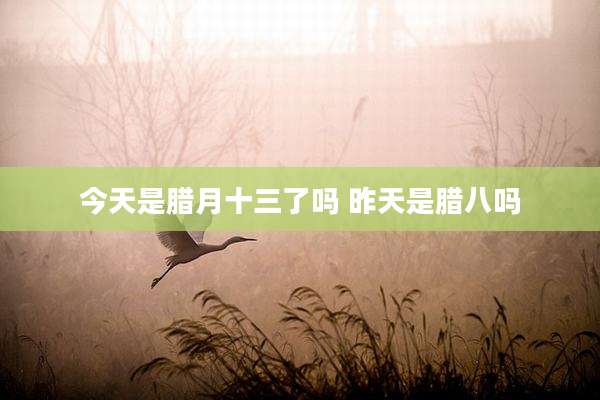 今天是腊月十三了吗 昨天是腊八吗