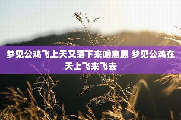 梦见公鸡飞上天又落下来啥意思 梦见公鸡在天上飞来飞去