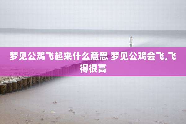 梦见公鸡飞起来什么意思 梦见公鸡会飞,飞得很高